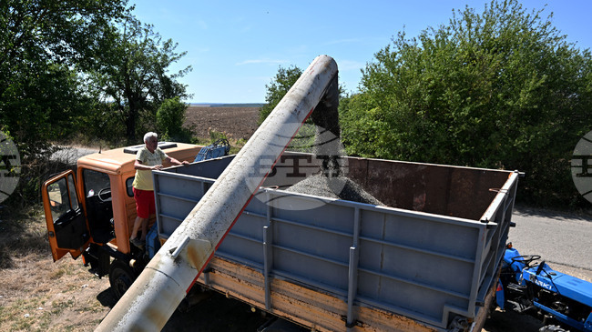 Разочароващ сезон за летните култури в югоизточната част на Европа отчита доклад на ЕК