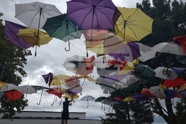 Костинброд - дъждовен ден - чадъри