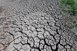 Монтана - засушаване