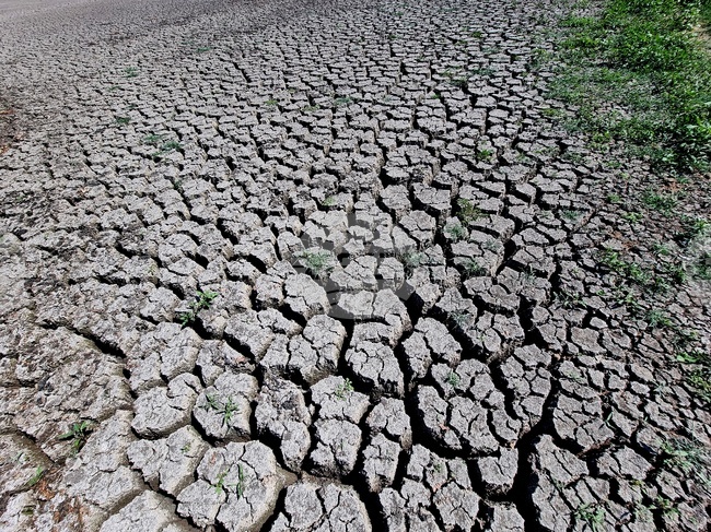 Prime Minister Orders Environment Ministry to Initiate Crisis Talks on Ticha Dam Water Shortage