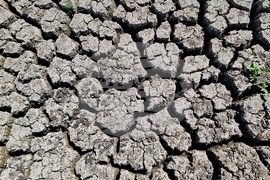 Монтана - засушаване