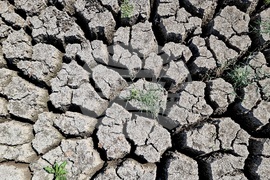 Монтана - засушаване