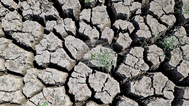 ДФ „Земеделие“ определи интензитета за подпомагане на стопани при щети, причинени от градушка, буря и проливен дъжд, наводнение и суша, настъпили през 2025 г.