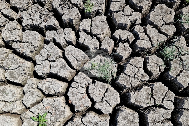 ДФ „Земеделие“ определи интензитета за подпомагане на стопани при щети, причинени от градушка, буря и проливен дъжд, наводнение и суша, настъпили през 2025 г.