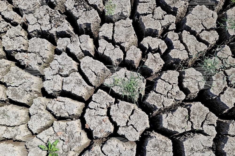 Монтана - засушаване