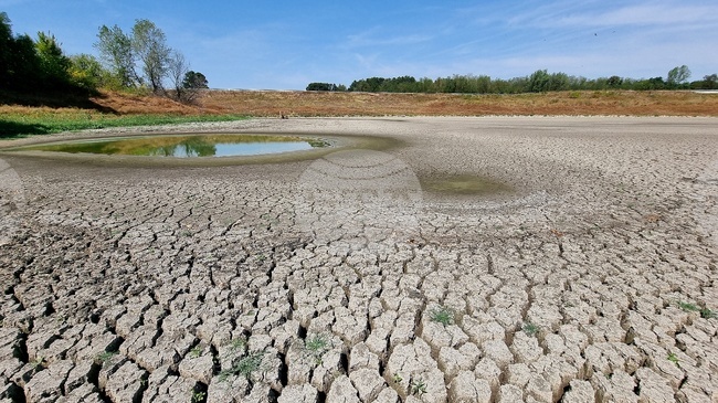 Приблизително 1,7 милиарда души страдат от по-ниски добиви поради деградация на земята, според доклад на ФАО