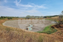 Монтана - засушаване