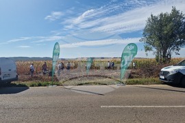  Лозница - царевица - земеделие