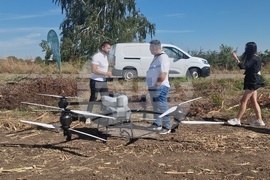  Лозница - царевица - земеделие