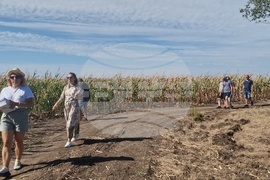  Лозница - царевица - земеделие