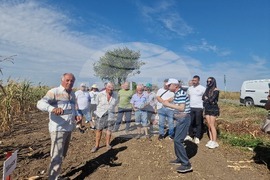  Лозница - царевица - земеделие