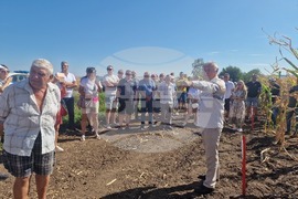  Лозница - царевица - земеделие