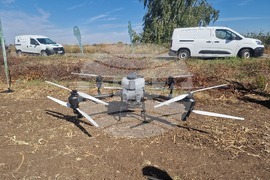  Лозница - царевица - земеделие