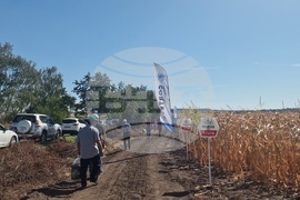  Лозница - царевица - земеделие