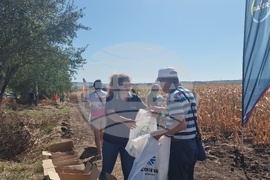  Лозница - царевица - земеделие