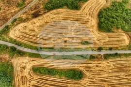 Село Драговищица - жътва - поглед отвисоко