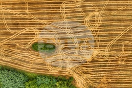 Село Драговищица - жътва - поглед отвисоко