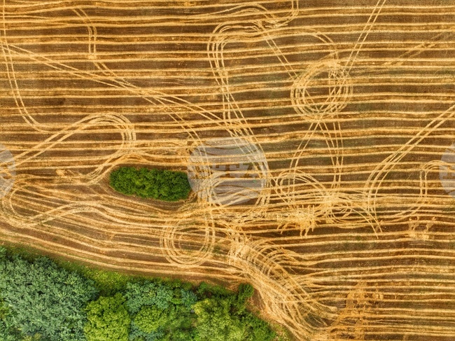 Село Драговищица - жътва - поглед отвисоко