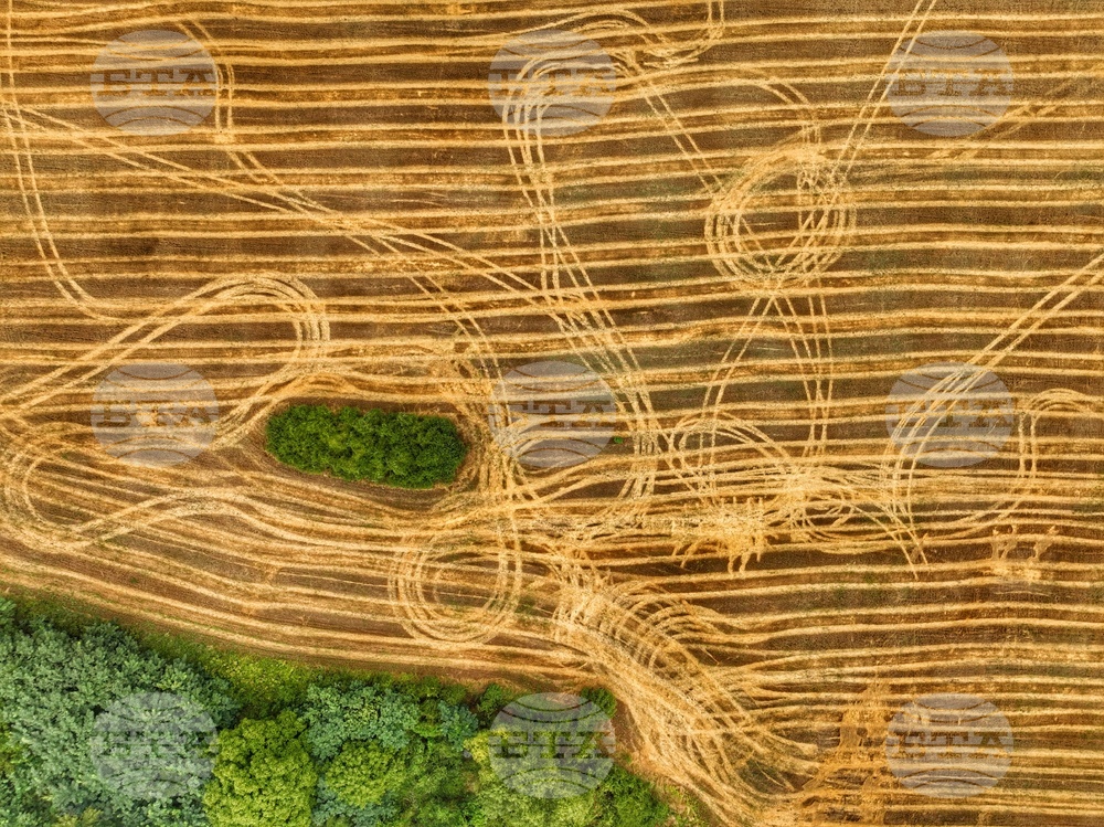 Село Драговищица - жътва - поглед отвисоко