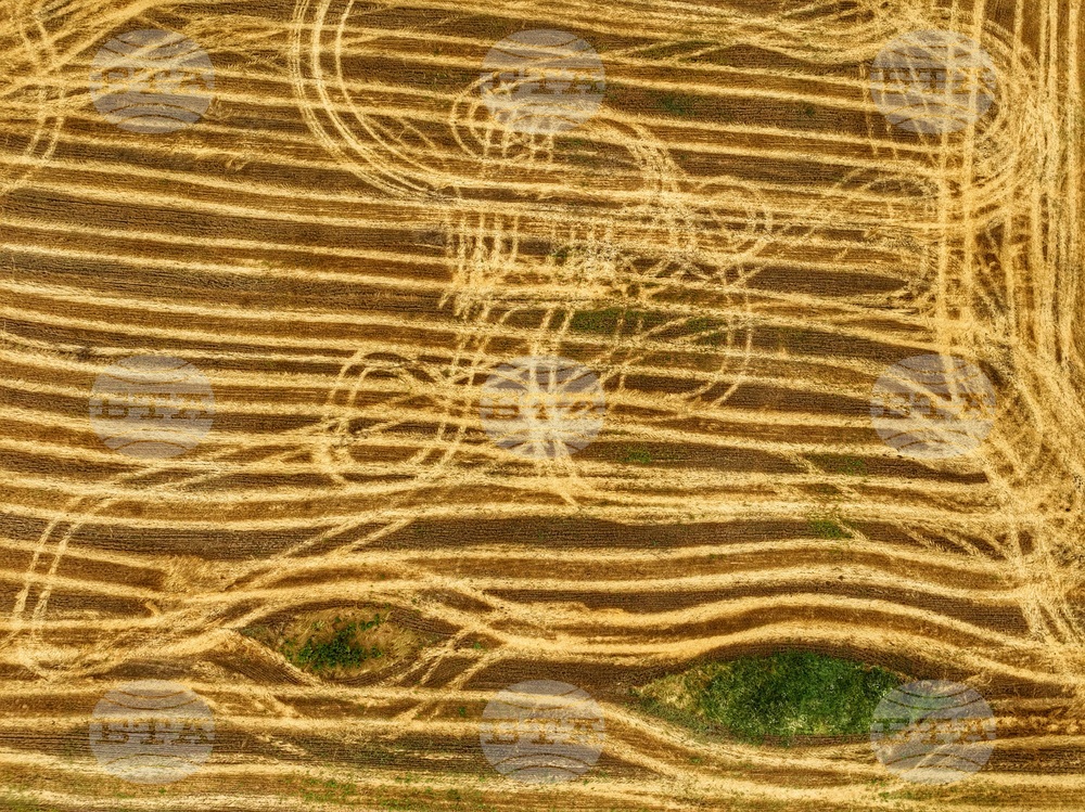 Agricultural Land Owners’ Association Opposes Calls for Resignations, Protests and Pressure on Agriculture Ministry Leadership