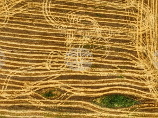 Agricultural Land Owners’ Association Opposes Calls for Resignations, Protests and Pressure on Agriculture Ministry Leadership