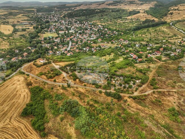 Над 3,6 млрд. лв. са разплатени на земеделските производители от Държавен фонд "Земеделие" за 2024 г. 