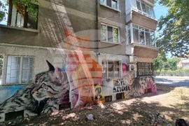 Бургас - жилищен блок - графити инициатива