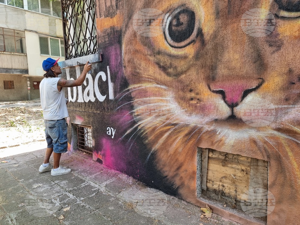Graffiti Artist Decorates Apartment Buildings in Burgas