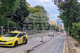 „Да спасим дърветата на „Опълченска“ - протестно шествие