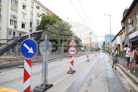 „Да спасим дърветата на „Опълченска“ - протестно шествие