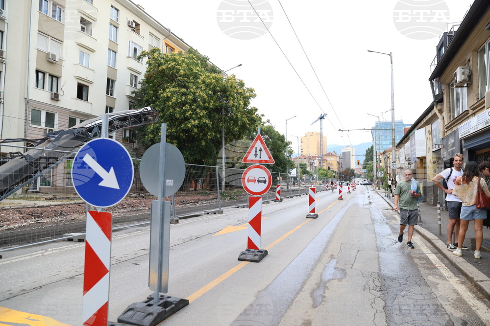 „Да спасим дърветата на „Опълченска“ - протестно шествие