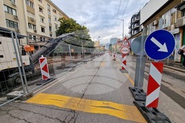 „Да спасим дърветата на „Опълченска“ - протестно шествие