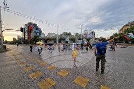 „Да спасим дърветата на „Опълченска“ - протестно шествие