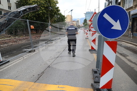 „Да спасим дърветата на „Опълченска“ - протестно шествие