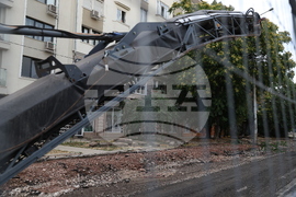 „Да спасим дърветата на „Опълченска“ - протестно шествие