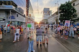 „Да спасим дърветата на „Опълченска“ - протестно шествие