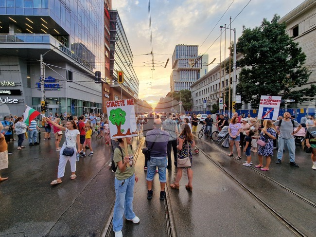 „Да спасим дърветата на „Опълченска“ - протестно шествие
