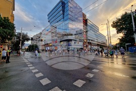 „Да спасим дърветата на „Опълченска“ - протестно шествие