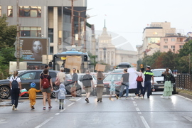 „Да спасим дърветата на „Опълченска“ - протестно шествие