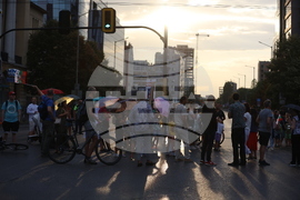 „Да спасим дърветата на „Опълченска“ - протестно шествие