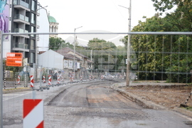 „Да спасим дърветата на „Опълченска“ - протестно шествие