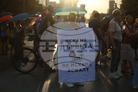 „Да спасим дърветата на „Опълченска“ - протестно шествие