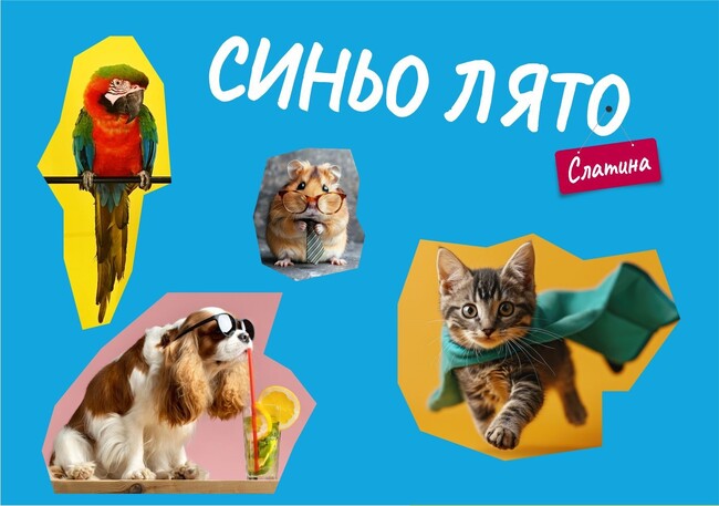 Столична община, район Слатина: „Синьо лято“ в парк „Гео Милев“