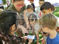 Снимка: Изпълнителна агенция по горите