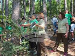 Снимка: Изпълнителна агенция по горите