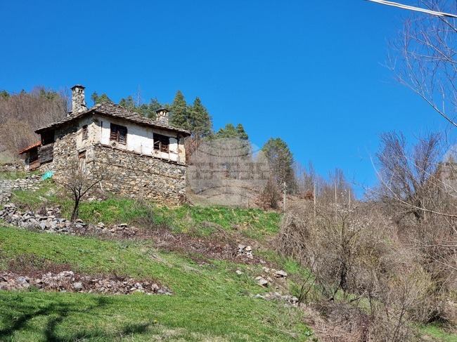 The Weather on March 11