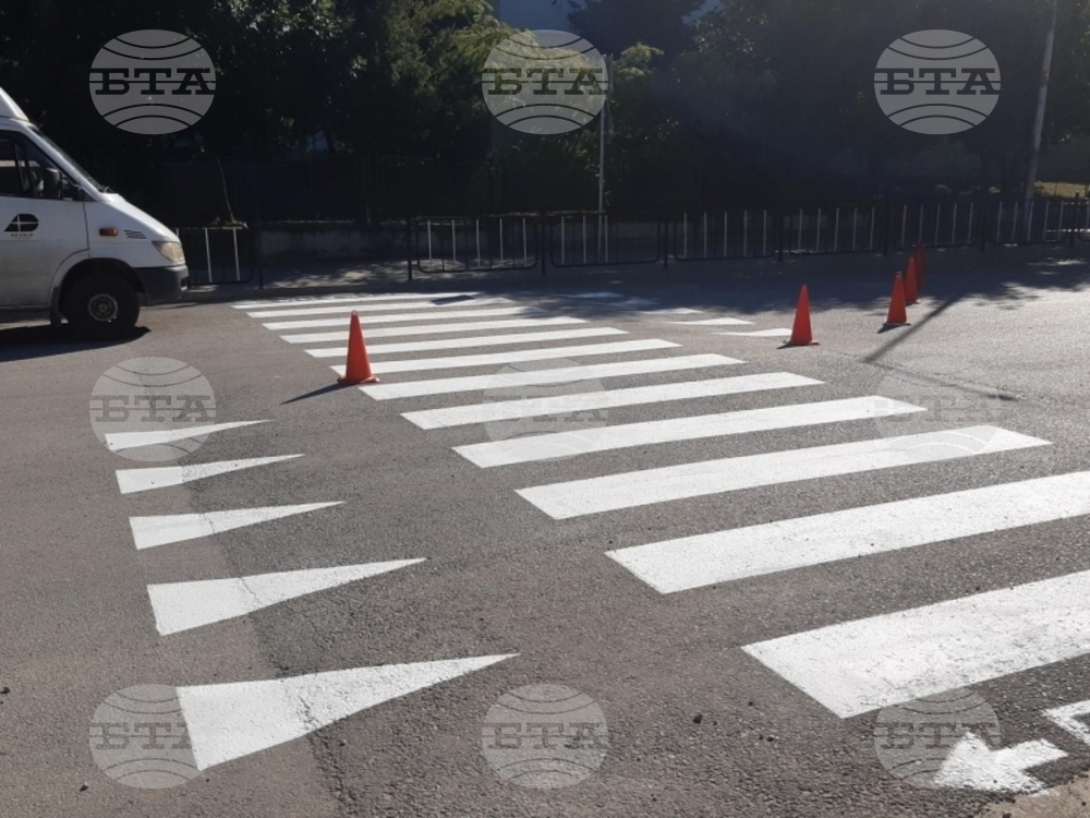 В Свищов започва възстановяването на пешеходните пътеки и хоризонталната пътна маркировка