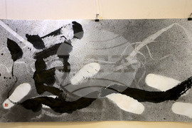 Варна - Арт салон радио Варна - изложба