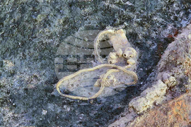 Село Капитан Петко войвода - разкопки - находки