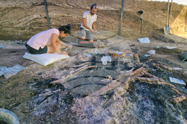 Село Капитан Петко войвода - разкопки - находки